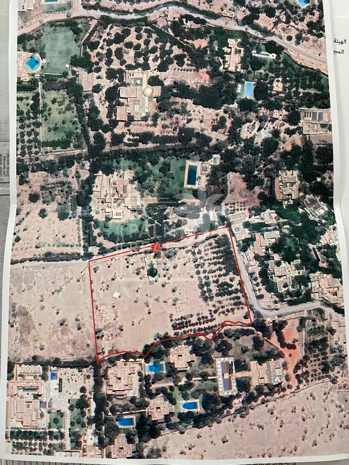 Lot de terrain à vendre à La Palmeraie – Marrakech