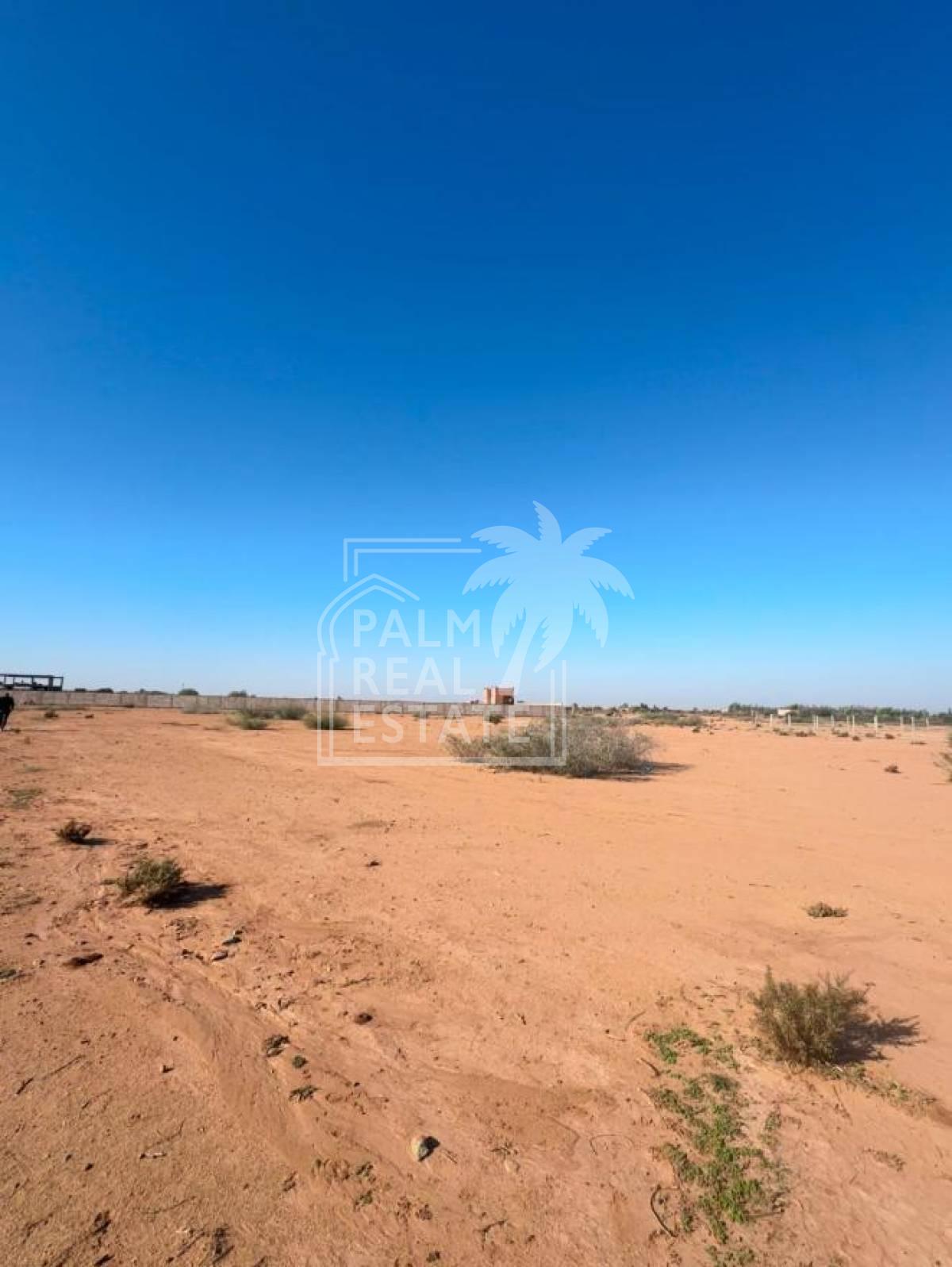Top affaire Terrain de 1 hectare à vendre – Route de l’Ourika