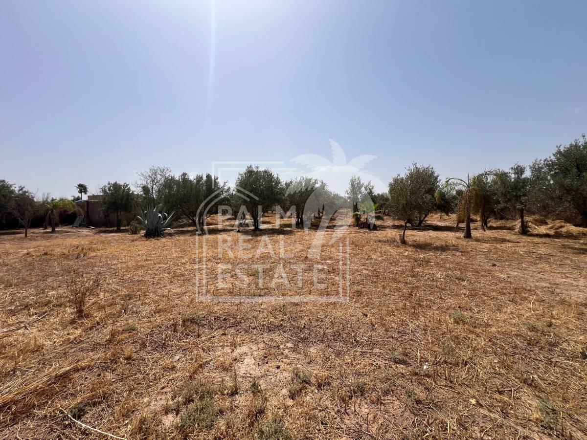 Top affaire Terrain à vendre sur la route de Fès 