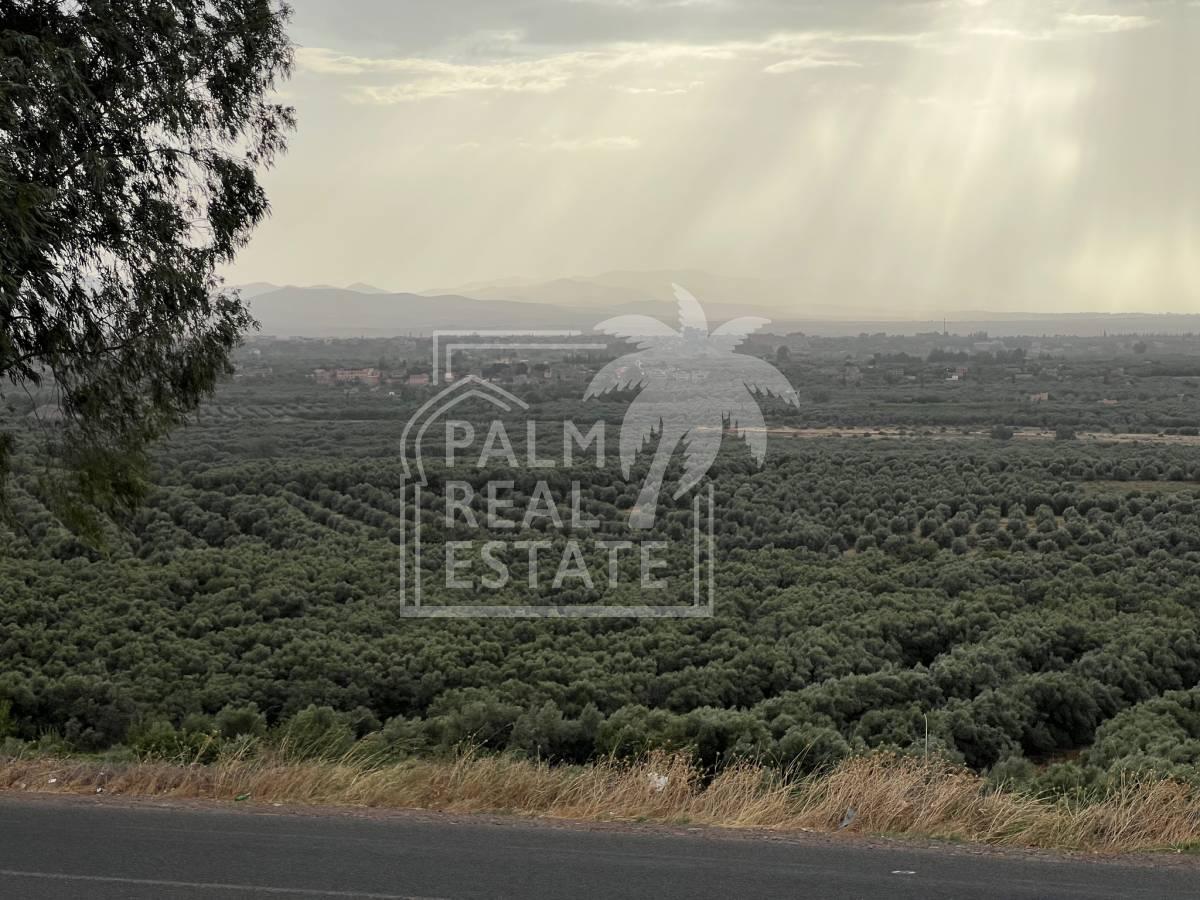 Top affaire Vente lot de terrain – Route de l’Ourika